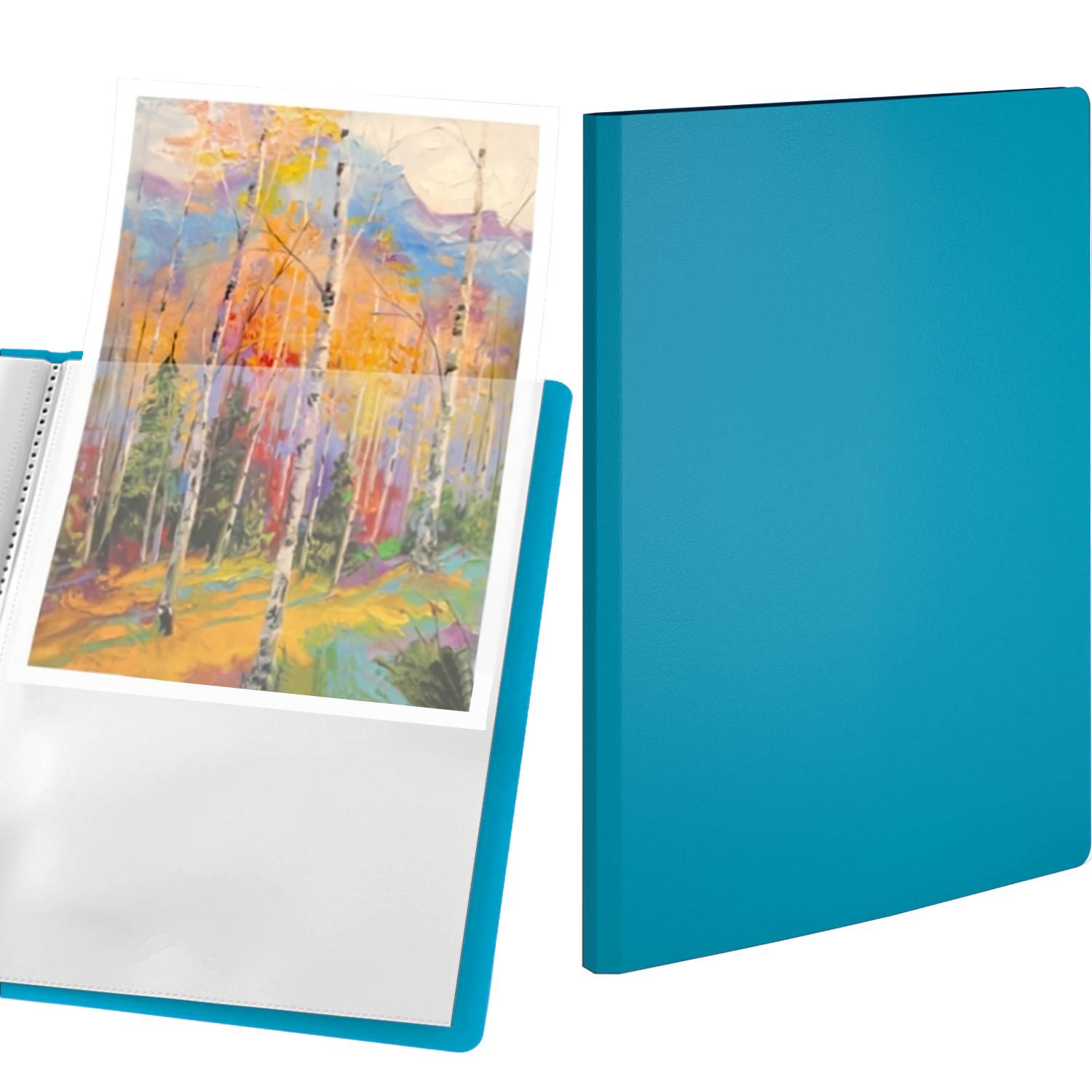 acropaq-ordner-und-mappen-pr-sentationsmappe-a4-gr-n-30-f-cher image 1