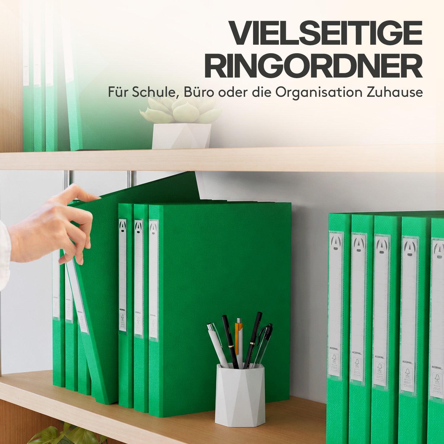 acropaq-ordner-und-mappen-ringordner-a4-10er-gr-n-42mm-2-ringe image 3