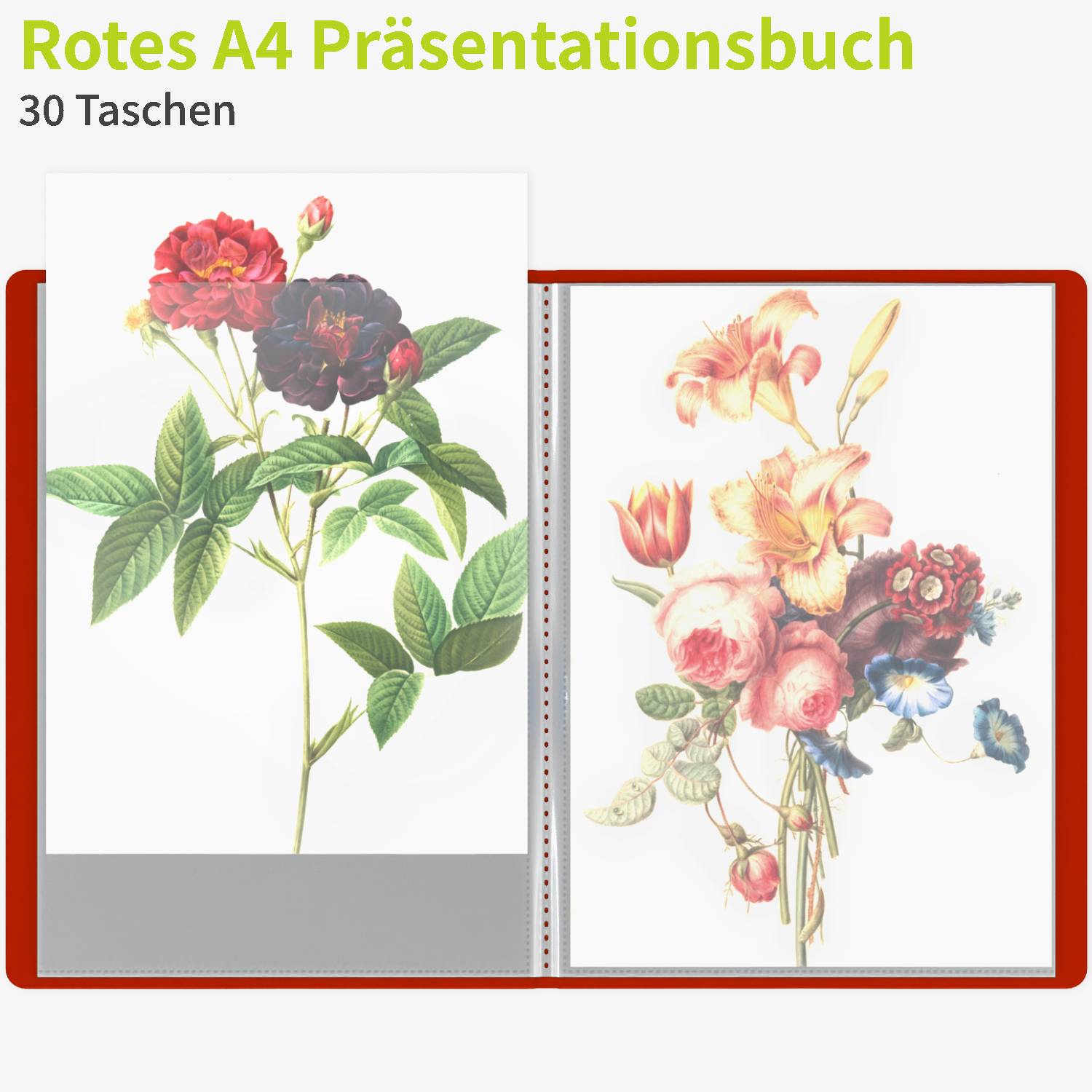 acropaq-pr-sentationsmappe-a4-rot-30-f-cher image 2