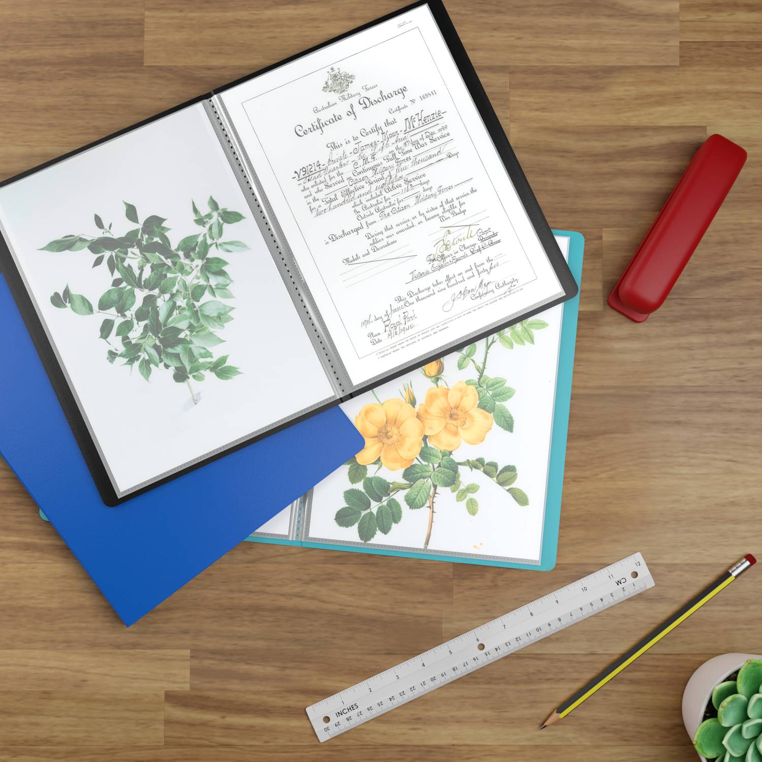 acropaq-pr-sentationsmappe-a4-40-f-cher-schwarz-sichtbuch image 5