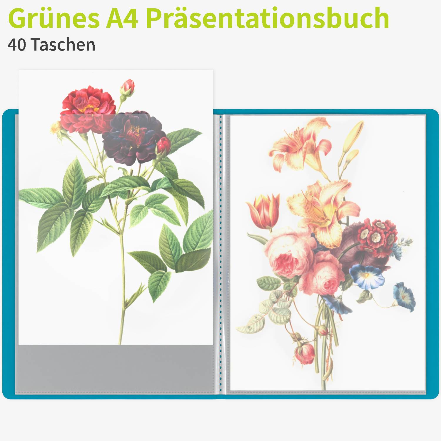 acropaq-pr-sentationsmappe-a4-40-f-cher-gr-n-sichtbuch-2 image 2