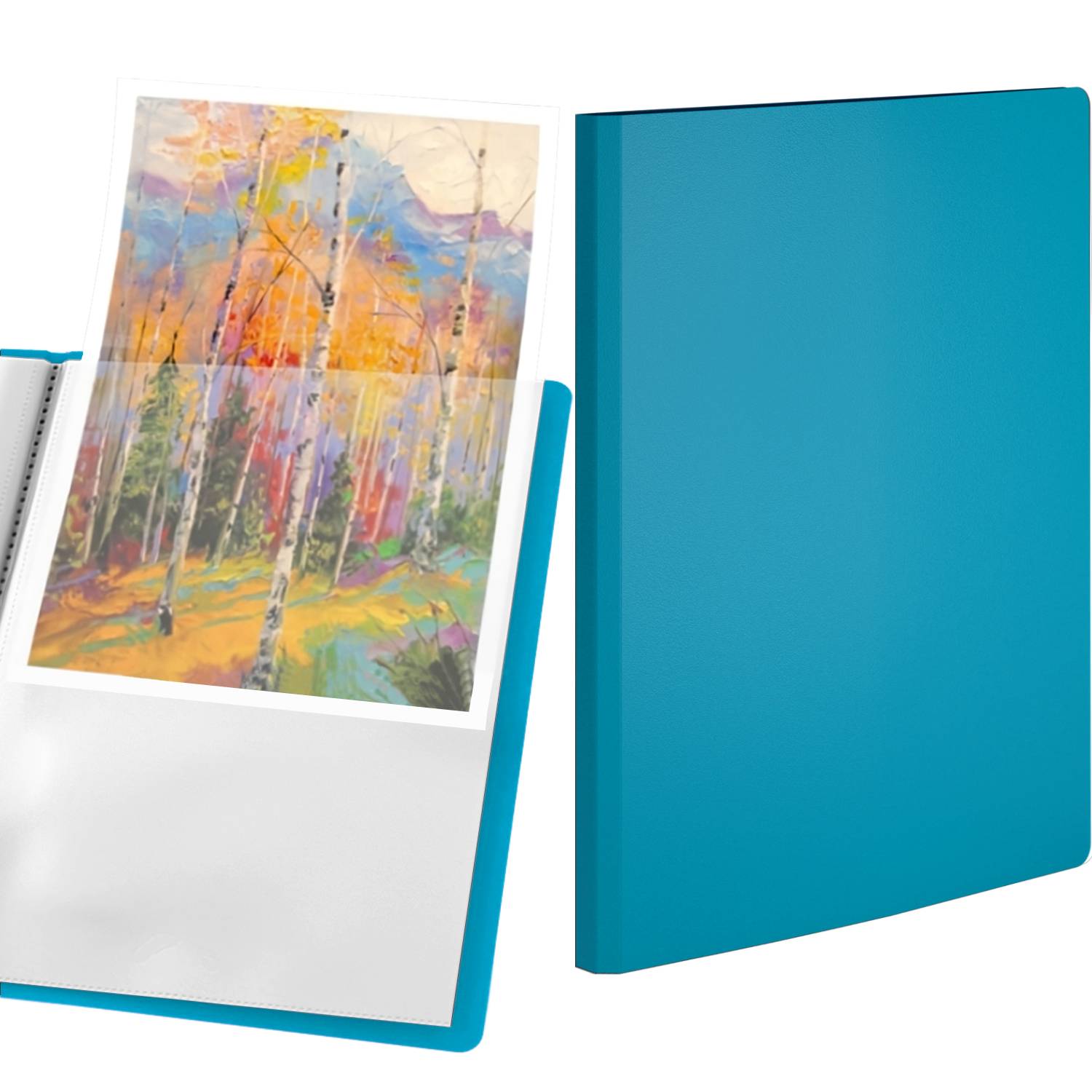 acropaq-pr-sentationsmappe-a4-40-f-cher-gr-n-sichtbuch-2 image 1