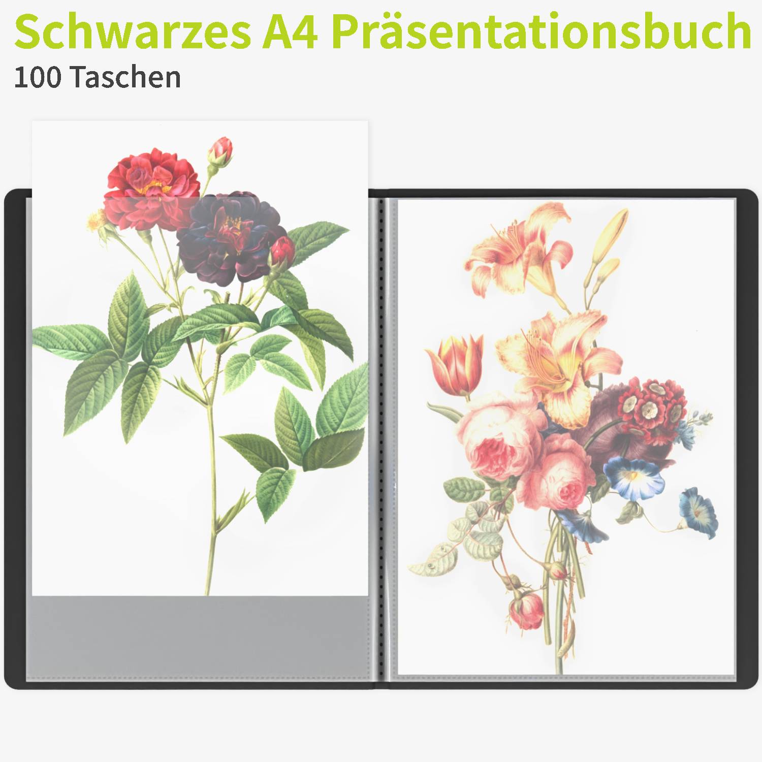 acropaq-pr-sentationsmappe-a4-schwarz-mit-100-f-chern image 2