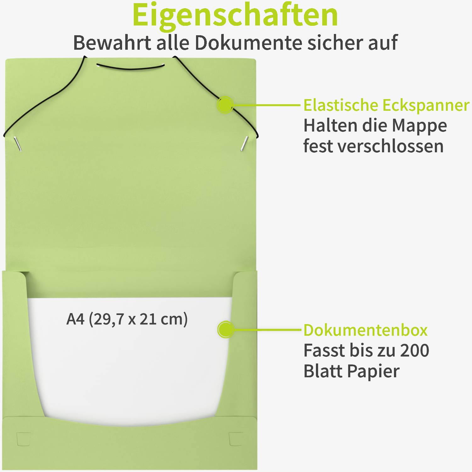 acropaq-sammelmappen-a4-pp-2-5cm-nature-sommer-6er image 3