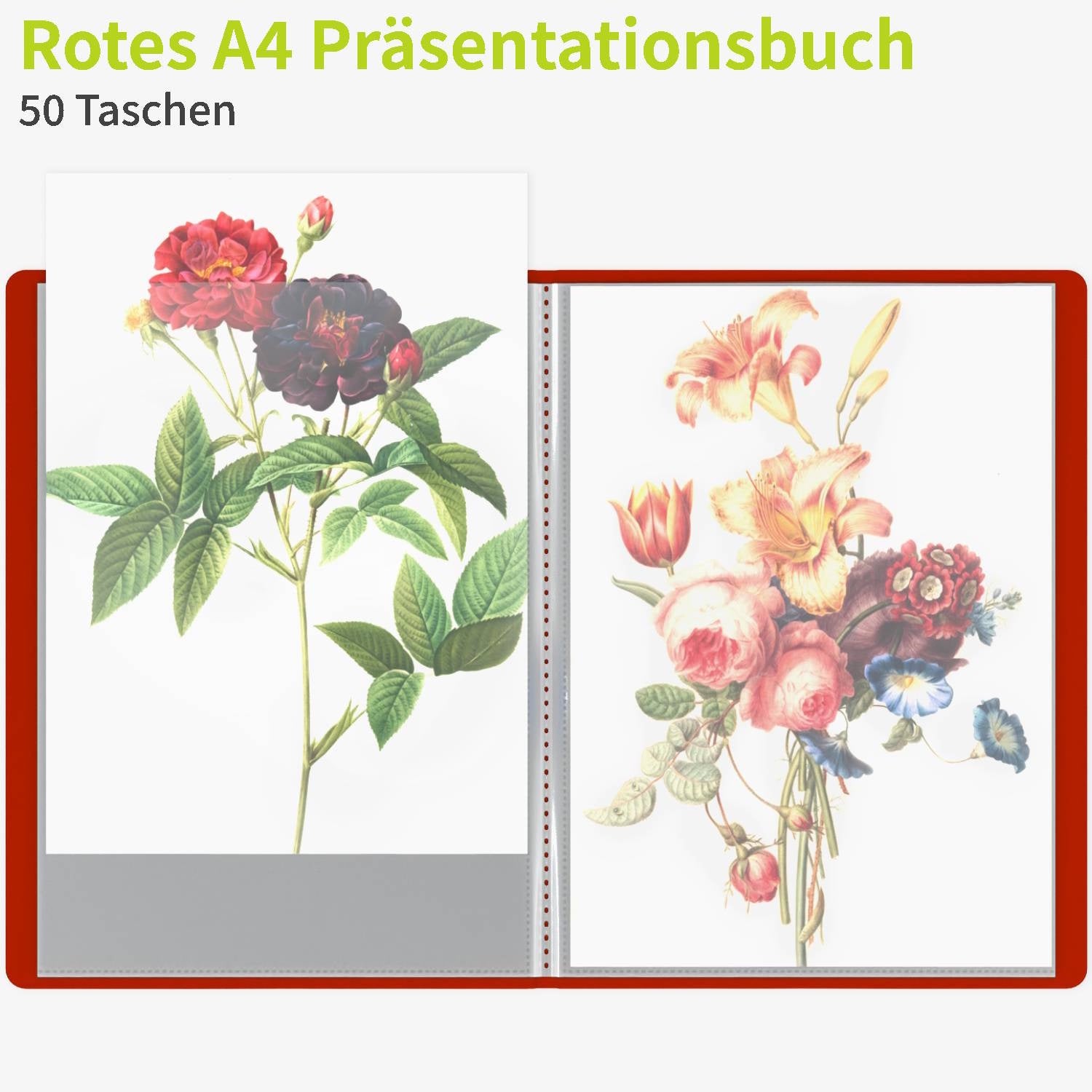 acropaq-sichtbuch-a4-rot-50-taschen-pp image 2