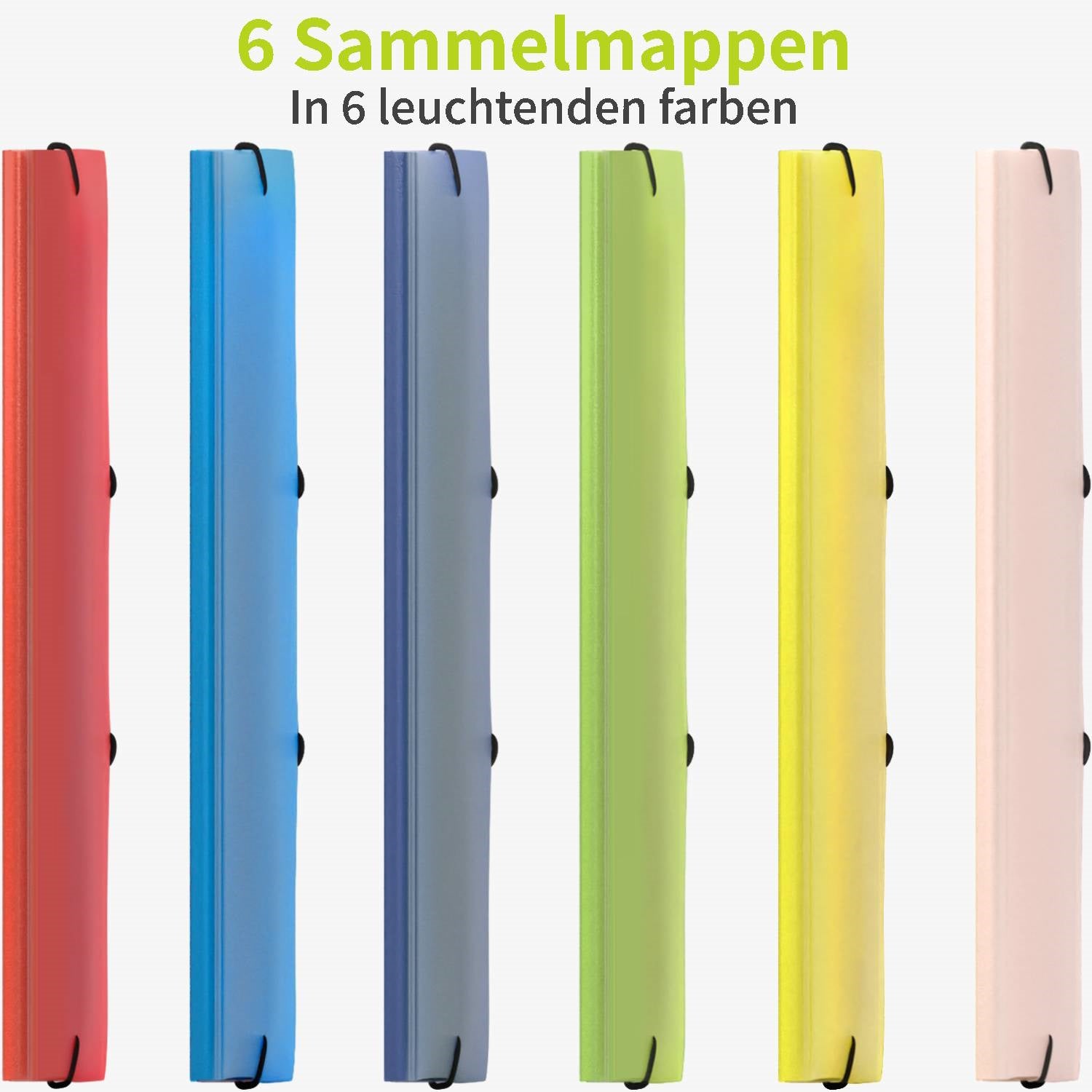 acropaq-sammelmappe-a4-elastikmappe-6-st-ck-sommer-mit-3-klappen image 2
